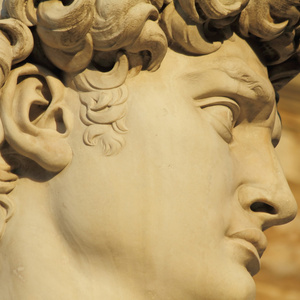 由米开朗基罗的大卫图片