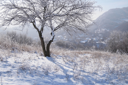 山区冬季村