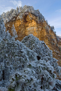 冰天雪地森林孤独山附近