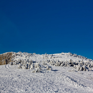 山中雪