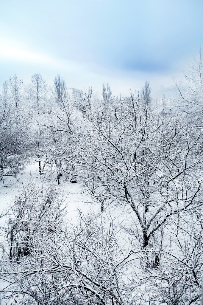 冬季风景与落雪