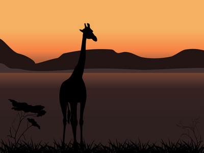 长颈鹿的日落背景上