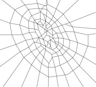 蜘蛛 web 黑色图