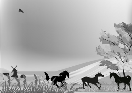 中灰色乡村风景的马图片