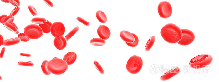 红血细胞在白色隔离