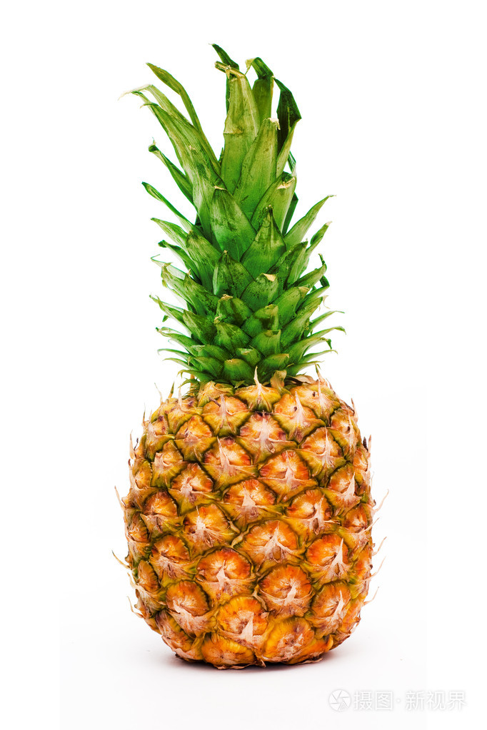 成熟的菠萝上白色隔离