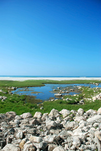 背后海海