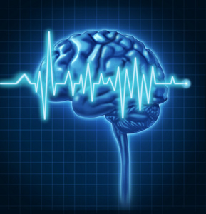 人类的大脑健康的心电图