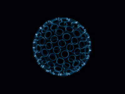 分形生物学