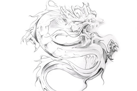 纹身艺术,东方巨龙的剪影照片