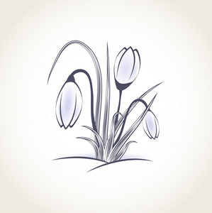 春番红花复古花卉卡照片