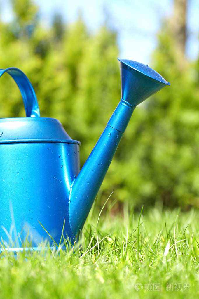 在花园中的蓝色喷壶