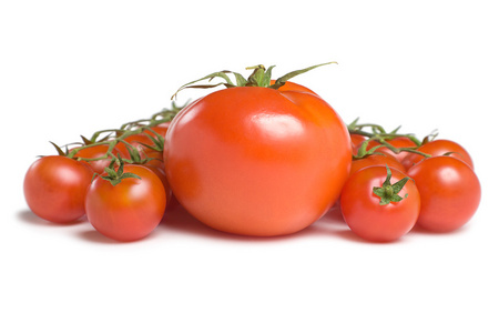 西红柿 1