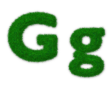 草字母 g