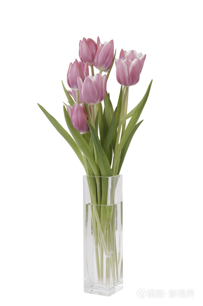 群的郁金香花瓶里