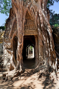 古代寺圣剑在吴哥复杂图片