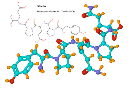 醇溶蛋白分子，谷朊粉组件