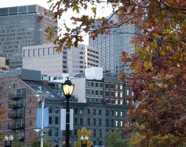 波士顿在秋天