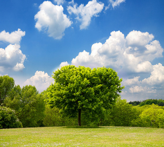 田园风光春天风景照片