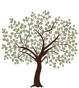 抽象树中,符号的性质照片