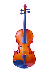 Vintage fiol ver vit bakgrund