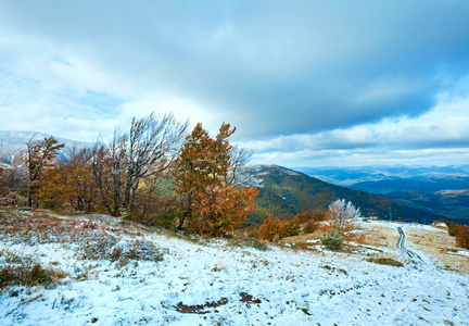 第一次冬季雪和秋季多彩叶面喷施山