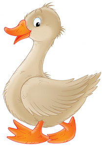 的家畜成群的大雁成群结队的野生森林树叶插图黄鸭卡通系列卡通动物