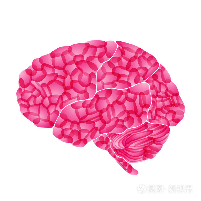 人类的大脑粉红色的梦矢量抽象背景