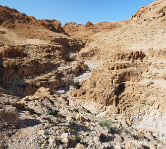 在沙漠里削减近死海古卷溪峡谷