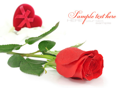 红玫瑰与红色天鹅绒心形礼品盒上白色的表现力