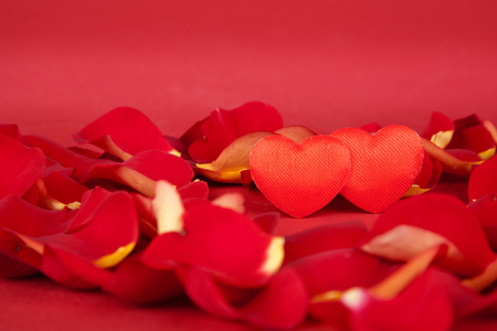 在红色背景上的玫瑰花瓣中的两颗心
