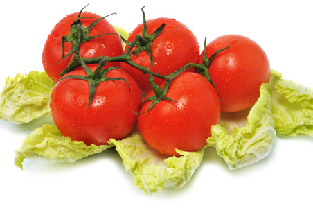 新鲜红番茄叶白菜