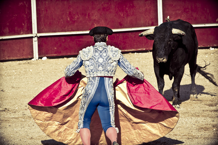 斗牛士与公牛在斗牛。马德里西班牙