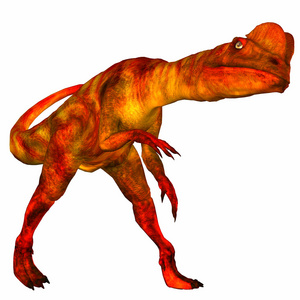 蜥臀目蜥龙照片