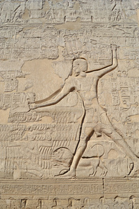 埃及神庙墙上的象形文字雕刻