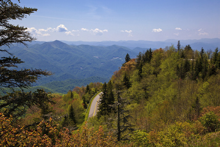 蓝山