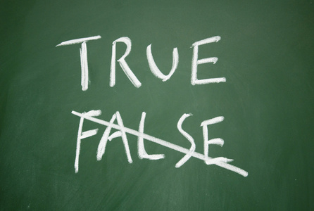 true 与 false 的标志