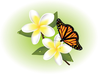 矢量素馨花和蝴蝶