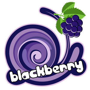 blacberry 冰淇淋