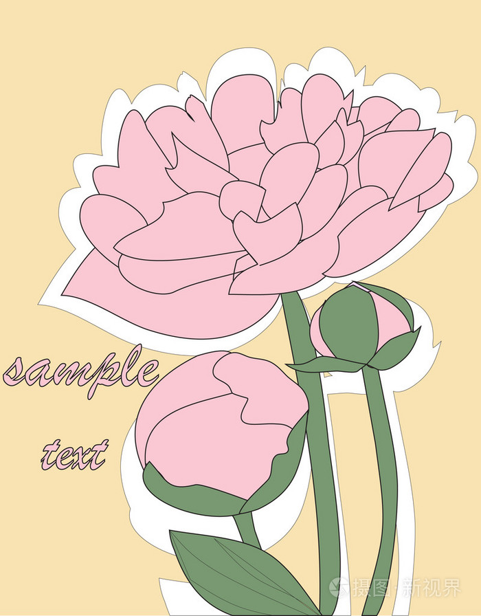 牡丹花