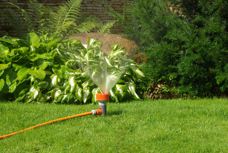 洒水器,喷洒器 (建筑物内的)自动喷水灭火装置照片