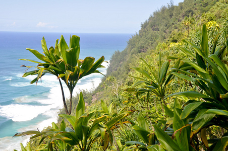 na pali 海岸足迹，考艾岛