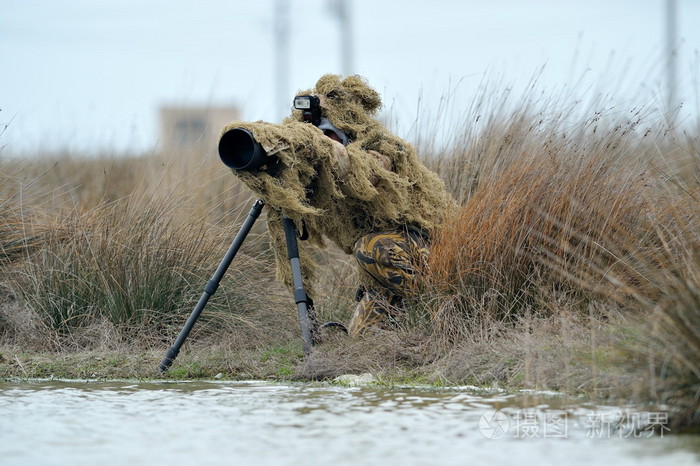 野生动物摄影师户外