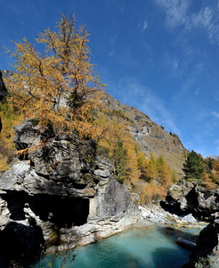 在秋季山风景