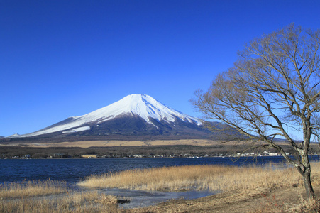 富士山和蓝色的天空