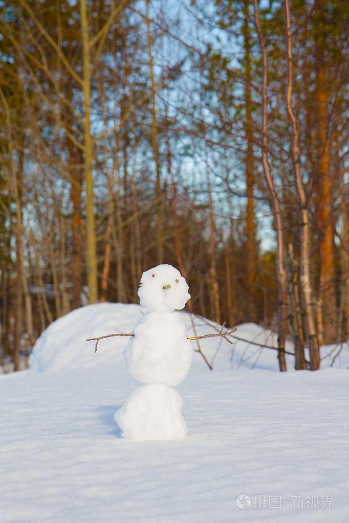 雪人实景照片图片