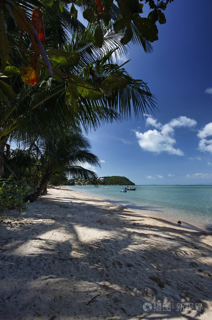 泰国苏梅岛苏梅岛海滩和椰子棕榈树视图
