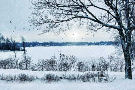 俯瞰着湖冬季风景