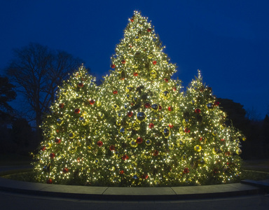 户外圣诞树图片