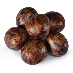 橡胶种子巴西橡胶树-橡胶种子照片